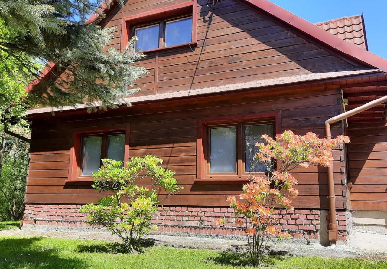 Domek Zacisze Laskowa  Екстериор снимка